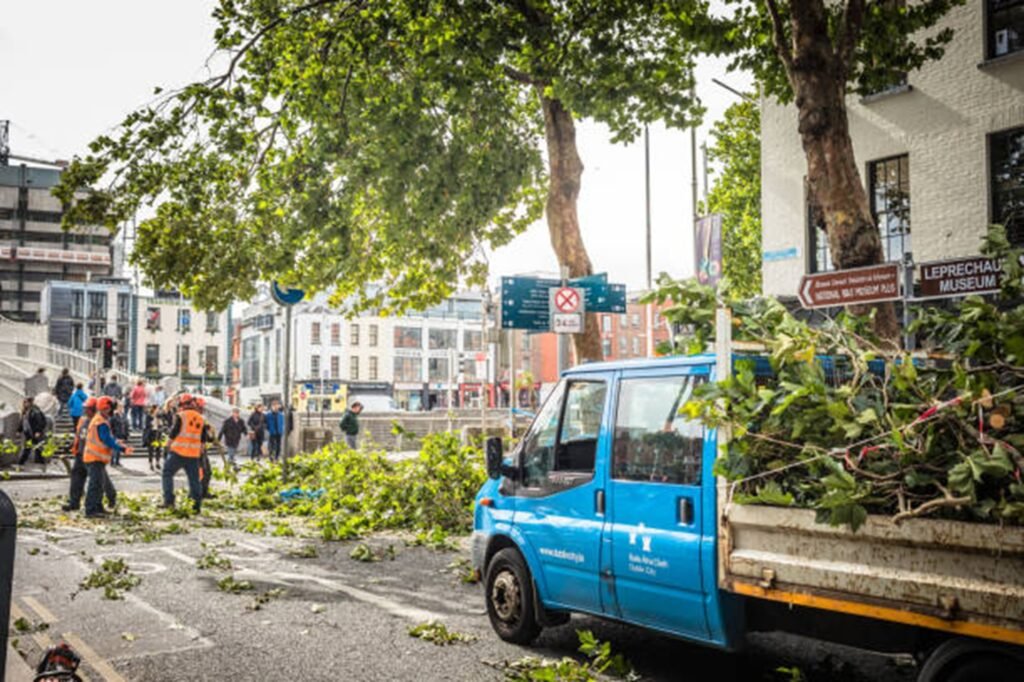 Emergency tree removal completed and driveway cleared in Streetsboro, Ohio