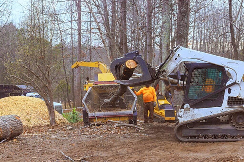 Hazardous tree safely removed from residential property in Streetsboro, Ohio