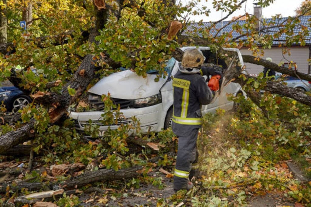 Storm damage cleanup with fallen tree and debris removal at a Streetsboro, OH property