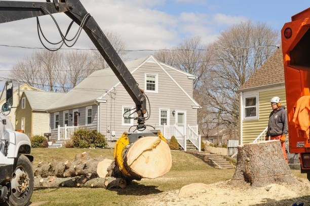 Emergency tree removal crew cutting a storm-damaged tree near a residential home in Streetsboro, Ohio