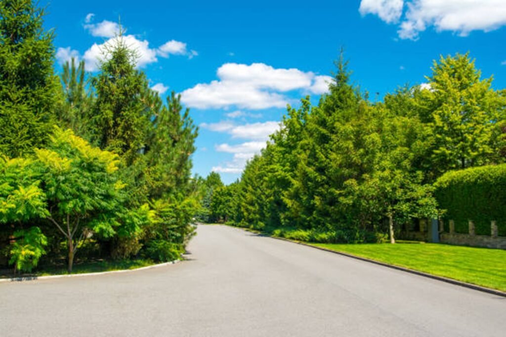 Tree service crew working on residential property in Maple Ridge Tree Care, Ohio