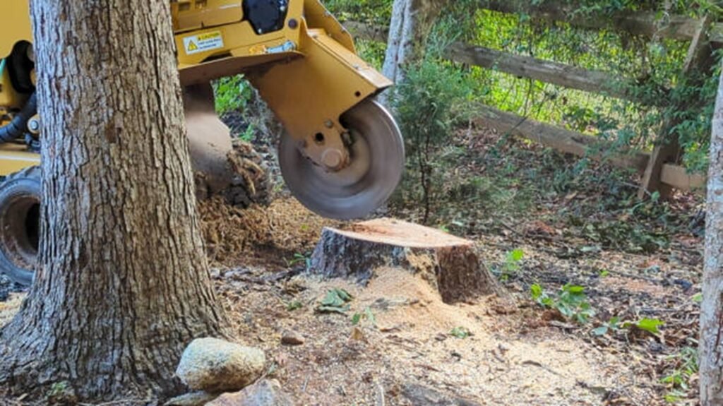 Stump grinding equipment removing a tree stump below ground level in a yard