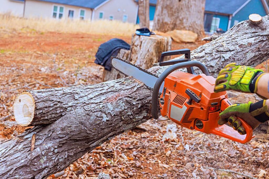 Emergency tree service crew removing storm-damaged tree limbs near a house