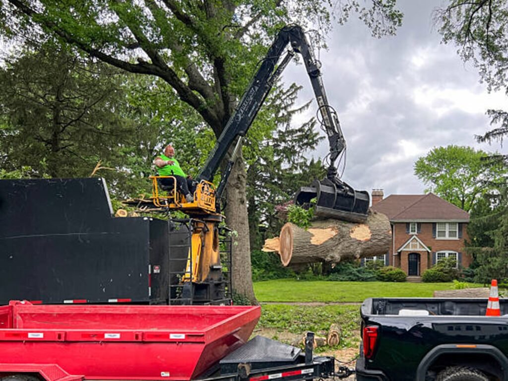 Tree removal crew using controlled sectional cutting techniques near a residential home in Streetsboro, Ohio