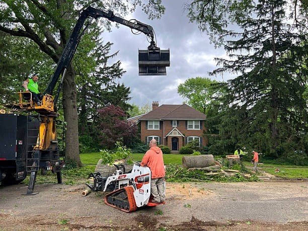 Professional tree trimming service in Streetsboro with crew pruning branches near a residential home