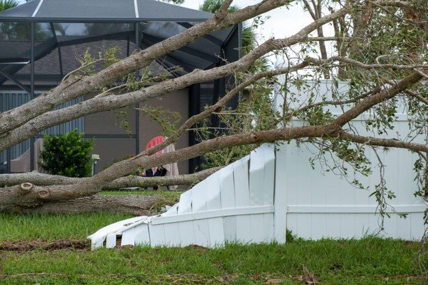 Large fallen tree after storm damage crushing backyard fence in Streetsboro Ohio residential property